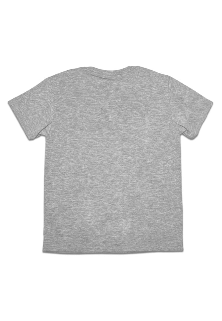 TODDLER BOYS R/N S/S TEE